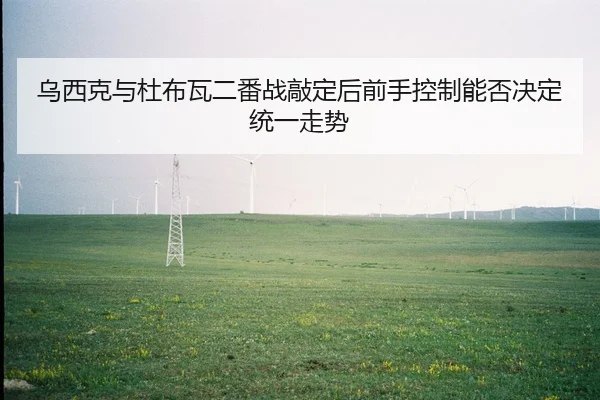 wu-xi-ke-yu-du-bu-wa-er-fan-zhan-qiao-ding-hou-qian-shou-kong-zhi-neng-fou-jue-ding-tong-yi-zou-shi-2-307.jpg